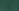 NG Vegetable - Green& Black.png