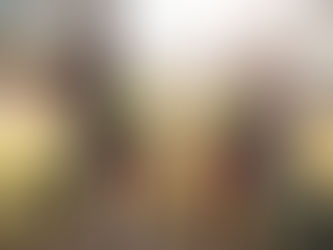 Why Is Tree Stump Removal Important for Your Garden?