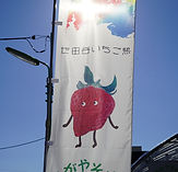 DSC08269