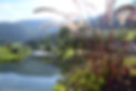Paysage naturel en Suisse à Soubey
