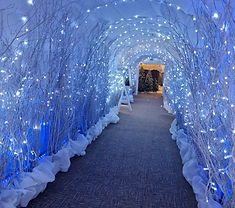 Christmaslighttunnel
