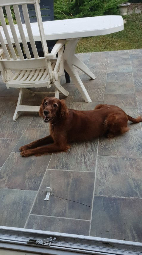 2018-08 - 0737 (Petit)