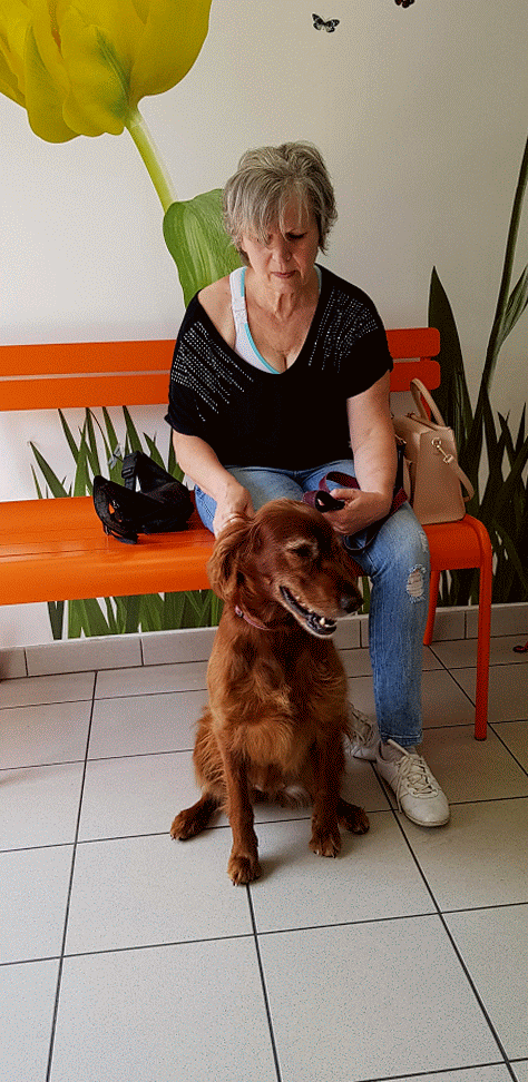 Fleur Chez Le Vétérinaire