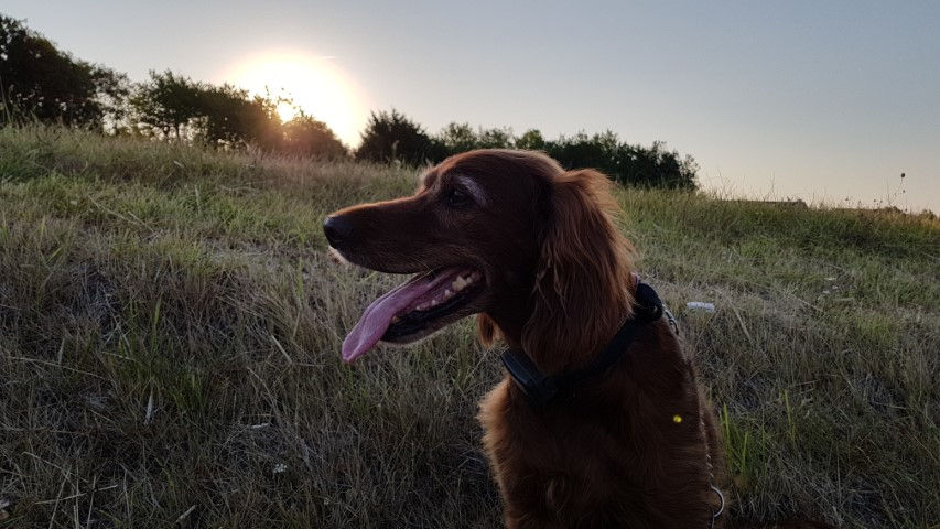 2018-08 - 0645 (Petit)