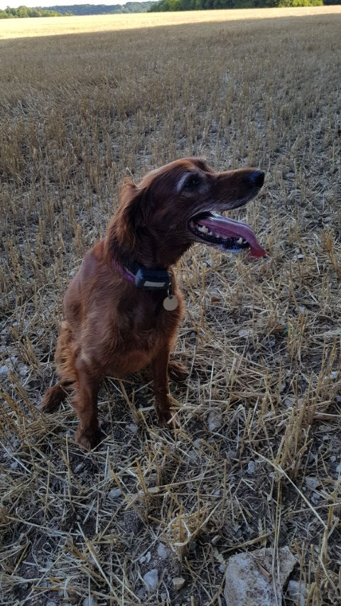 2018-08 - 0450 (Petit)