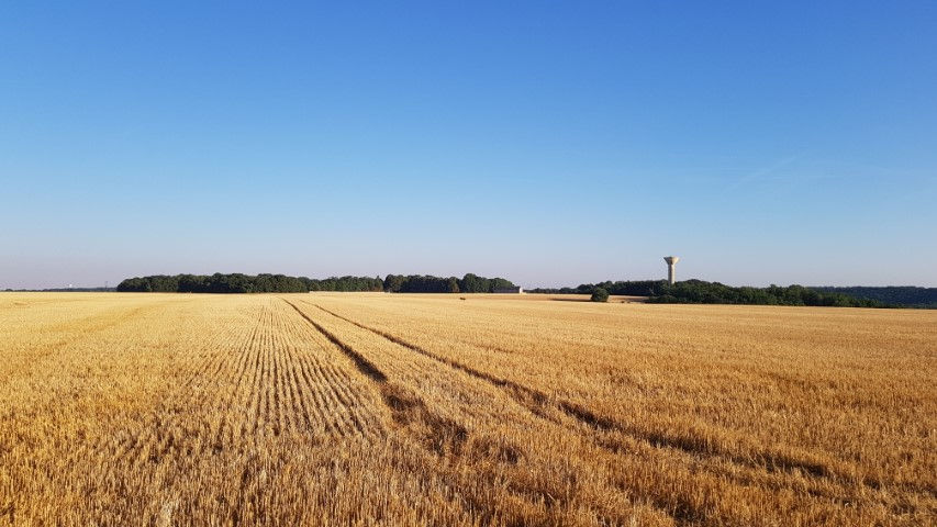 2018-08 - 0554 (Petit)