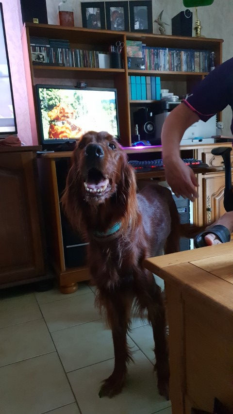 2018-08 - 2606 (Petit)