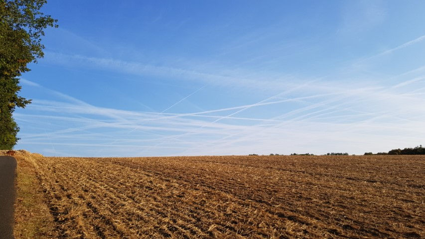 2018-08 - 2591 (Petit)