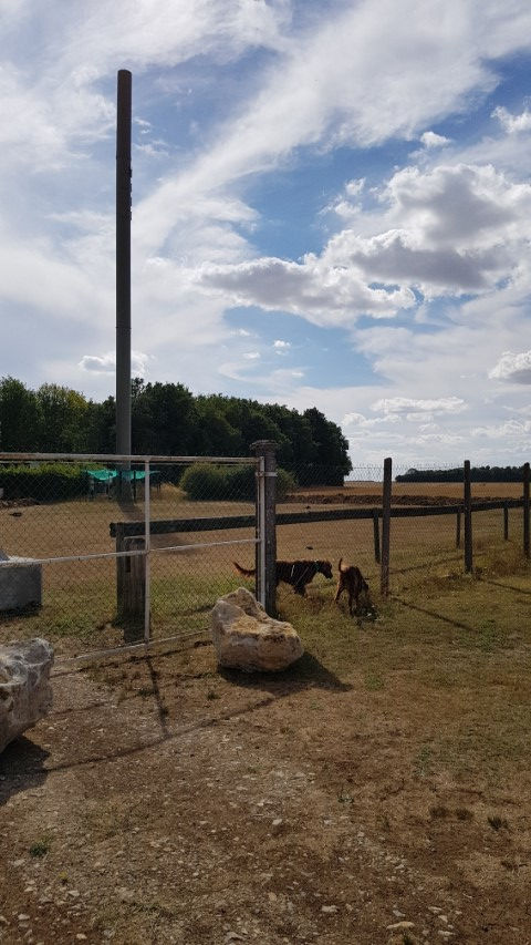 2018-08 - 1354 (Petit)