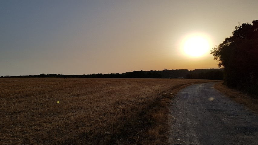 2018-08 - 0978 (Petit)