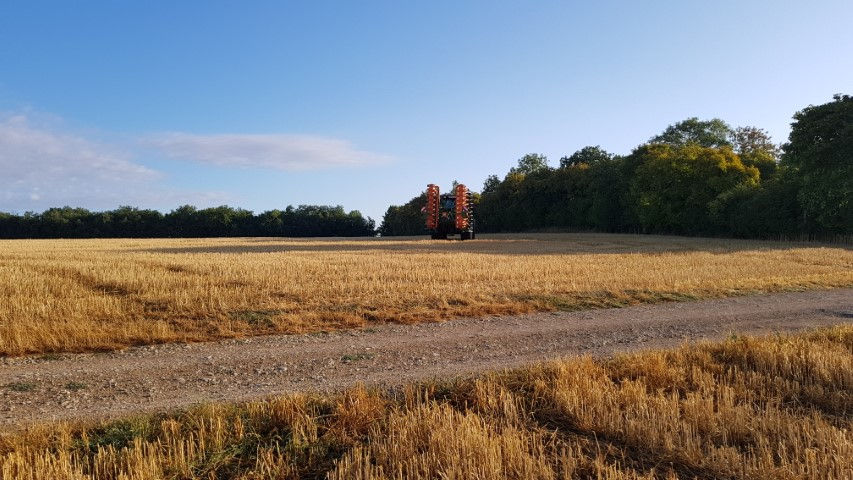 2018-08 - 1232 (Petit)