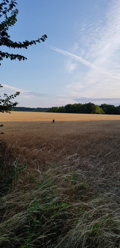 2018-08 - 0232 (Petit)