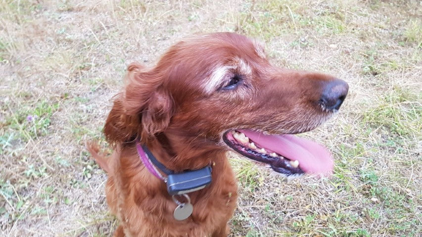 2018-08 - 1090 (Petit)