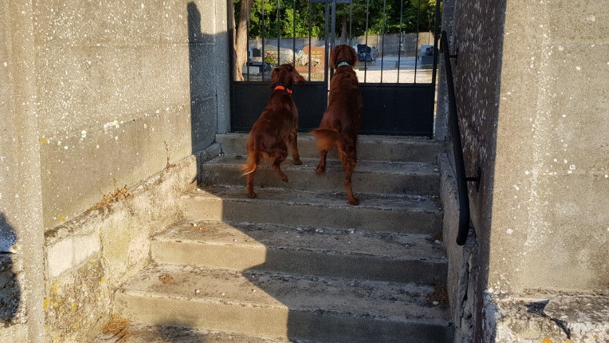 2018-08 - 2555 (Petit)