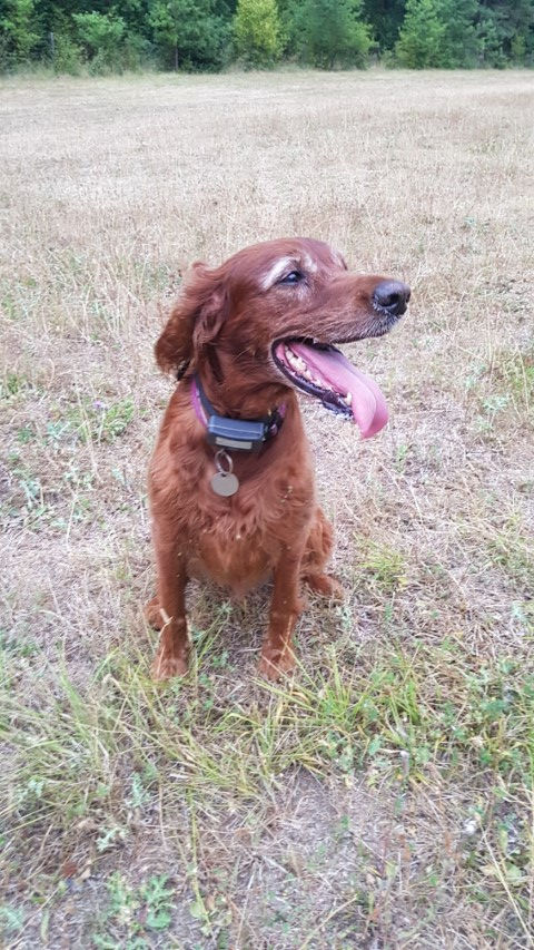 2018-08 - 1084 (Petit)