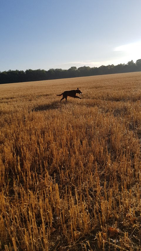 2018-08 - 1225 (Petit)