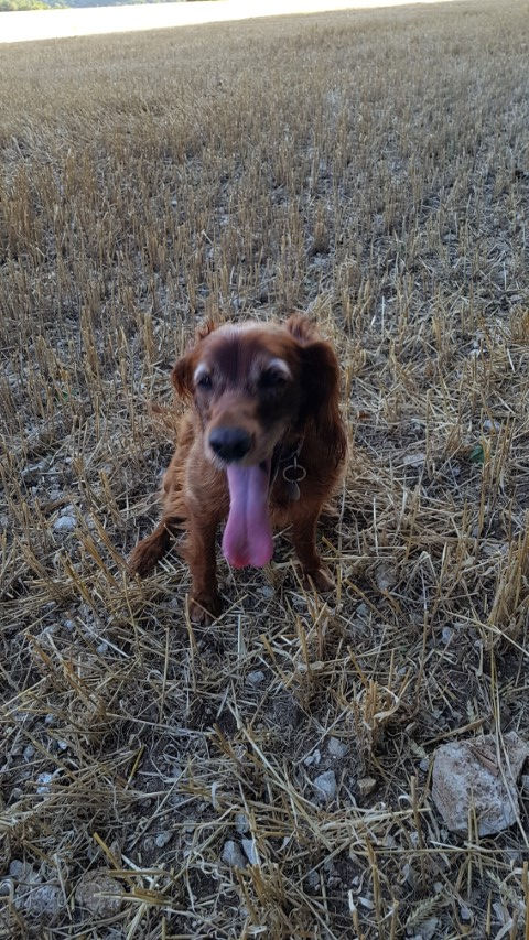 2018-08 - 0446 (Petit)