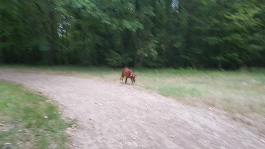 2018-08 - 1076 (Petit)