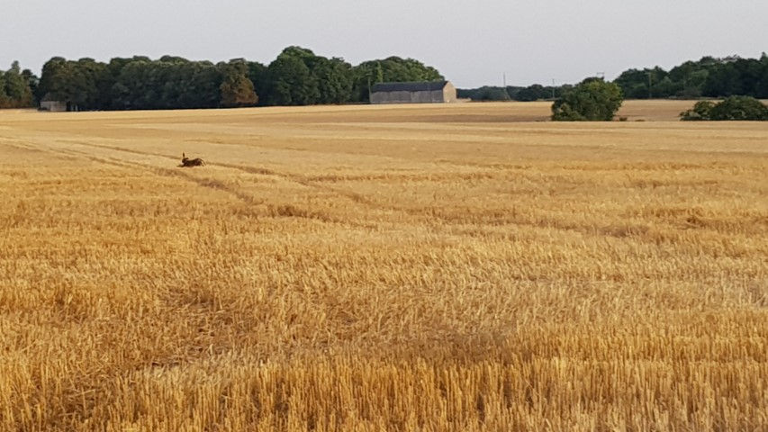 2018-08 - 0924 (Petit)