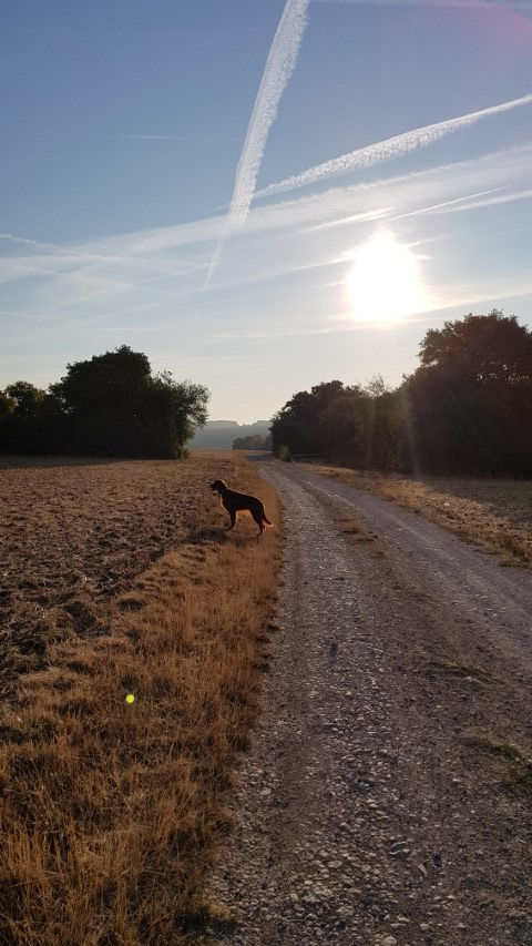 2018-08 - 2468 (Petit)