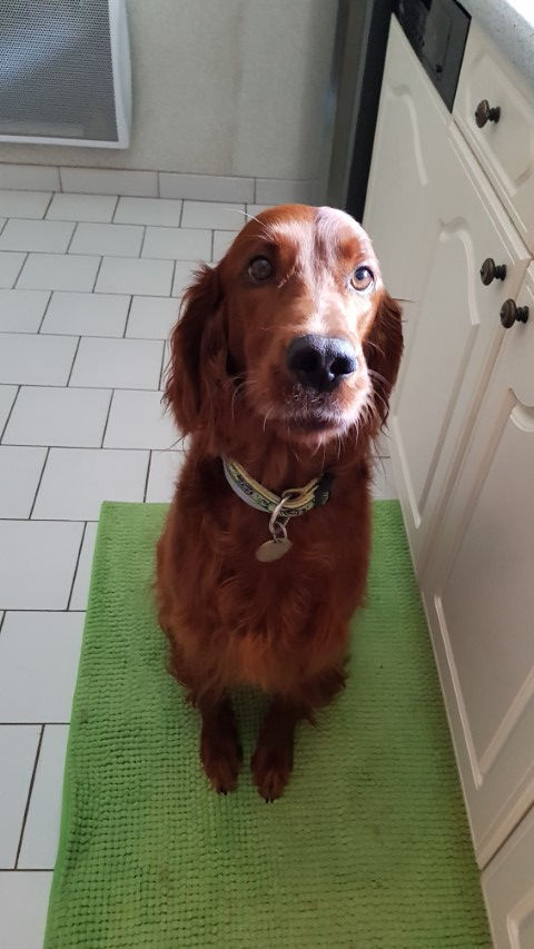 2018-08 - 1125 (Petit)