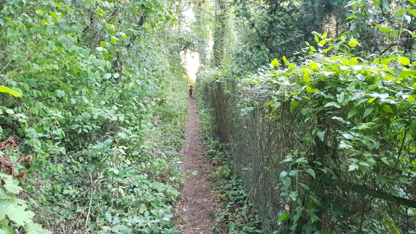 2018-08 - 0365 (Petit)