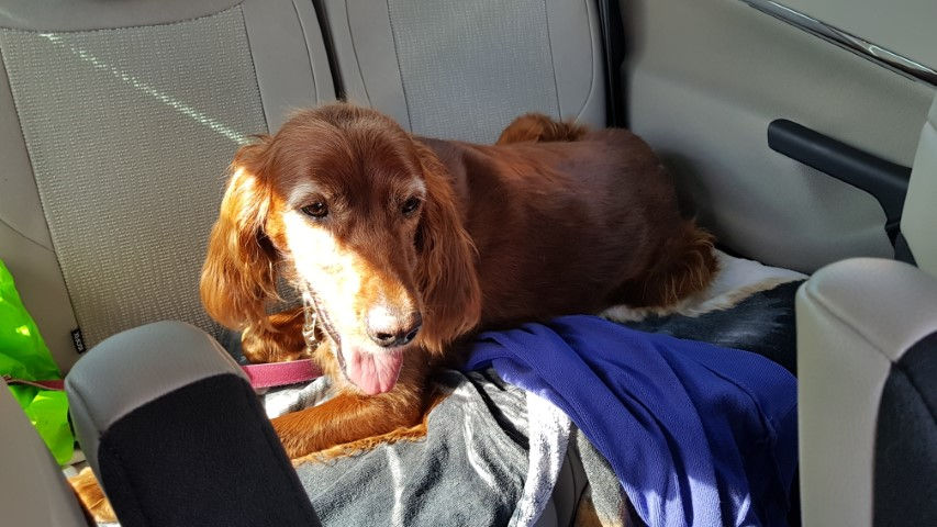 2018-08 - 1480 (Petit)