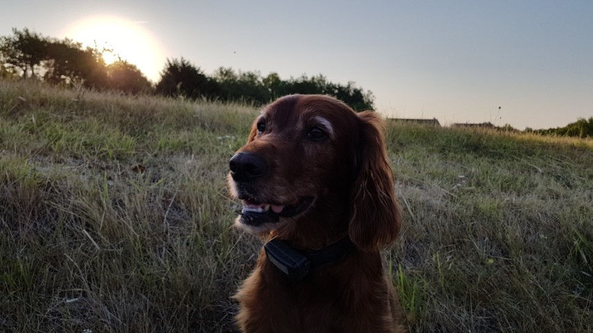 2018-08 - 0649 (Petit)