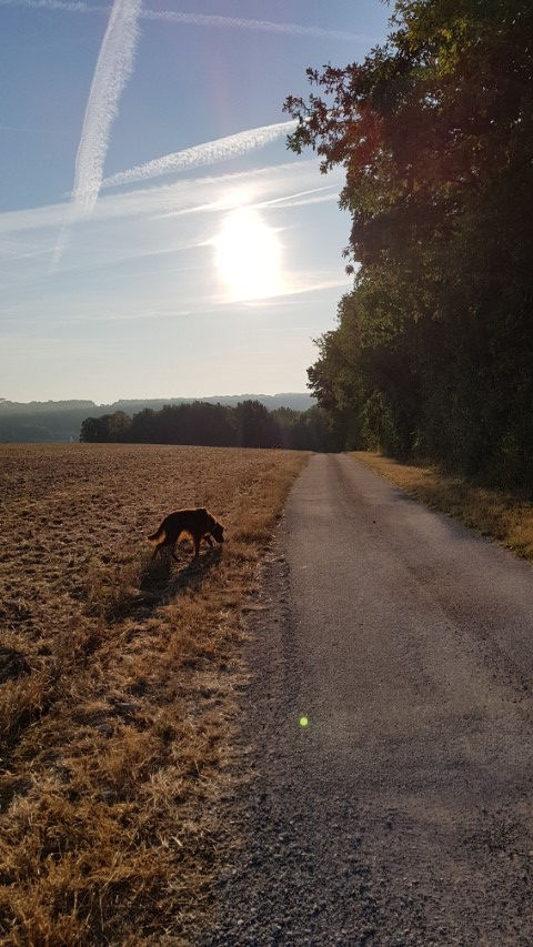 2018-08 - 2504 (Petit)