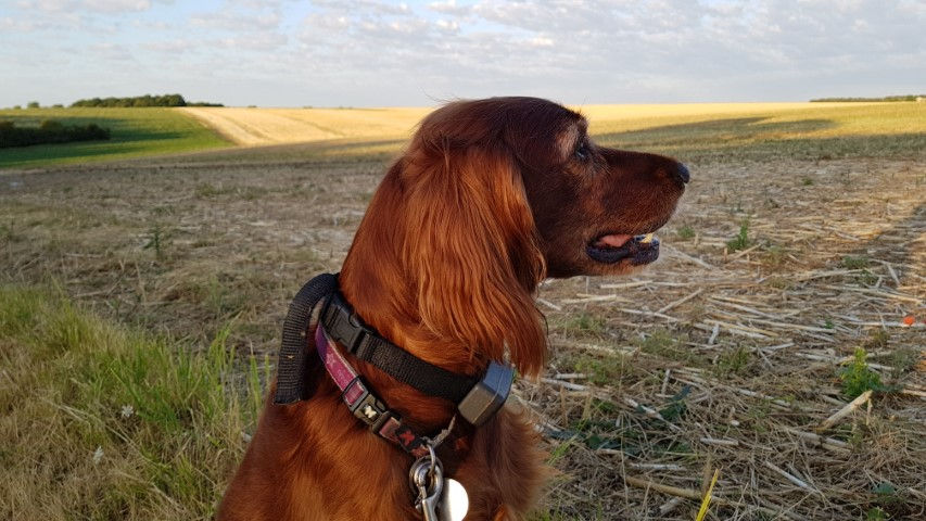 2018-08 - 0341 (Petit)