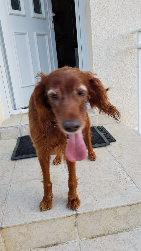 2018-08 - 0718 (Petit)