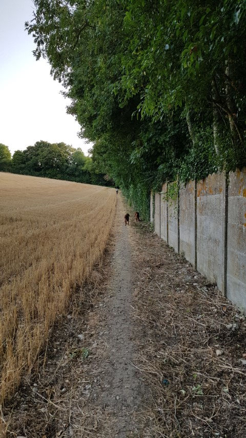 2018-08 - 1004 (Petit)