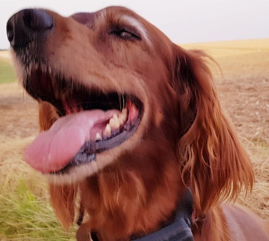 2018-08 - 0886 (Petit)