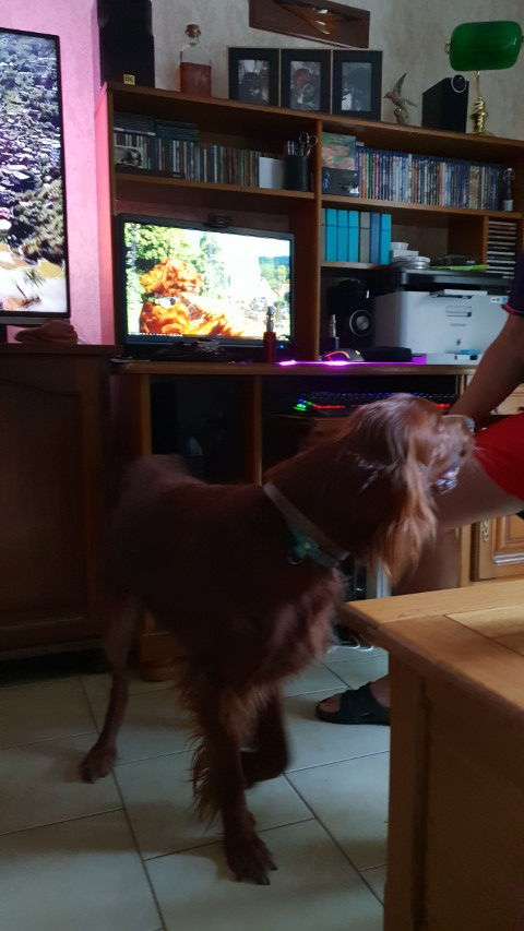 2018-08 - 2620 (Petit)