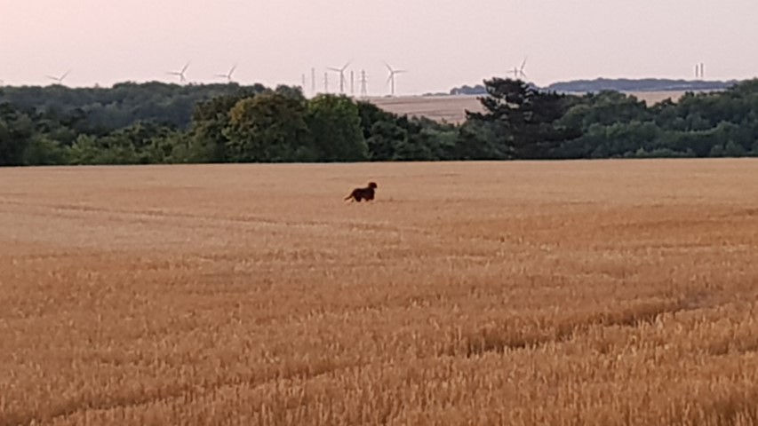 2018-08 - 0910 (Petit)