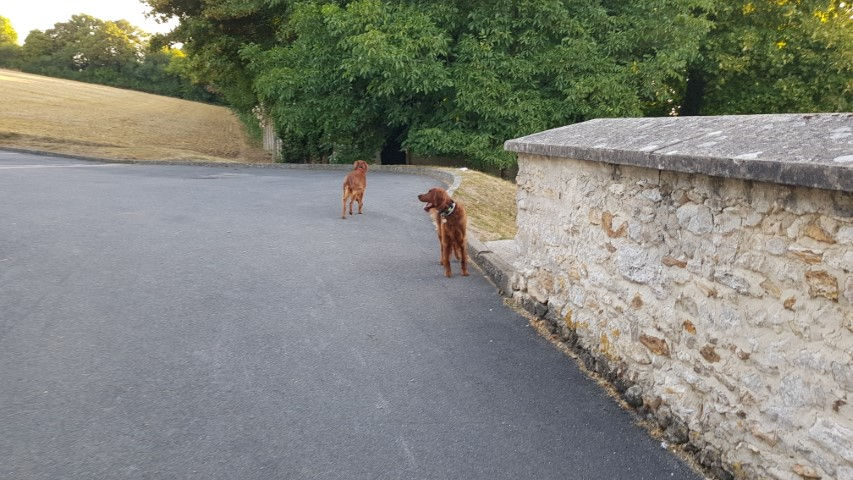 2018-08 - 2561 (Petit)