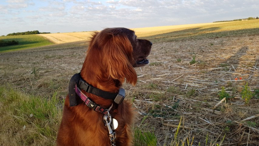 2018-08 - 0340 (Petit)