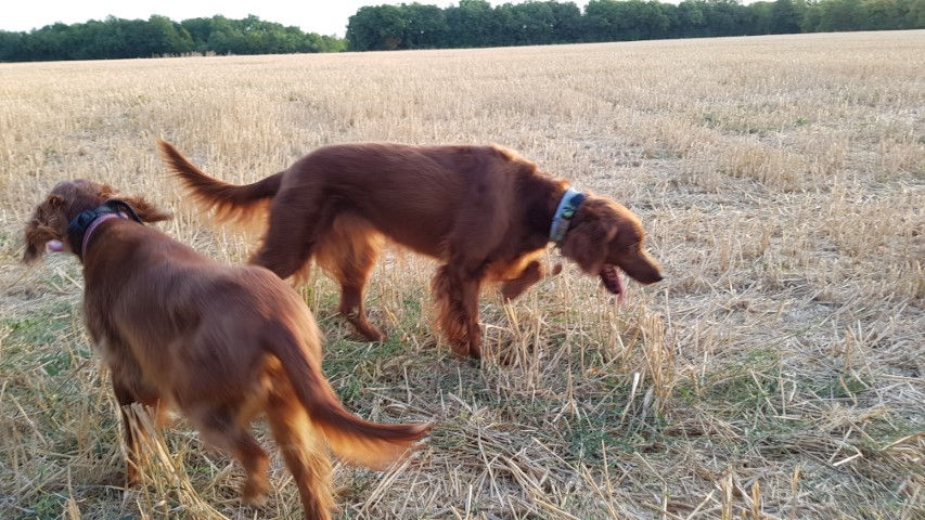 2018-08 - 0960 (Petit)