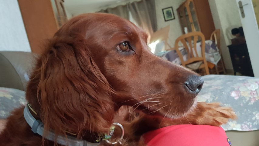 2018-08 - 1173 (Petit)