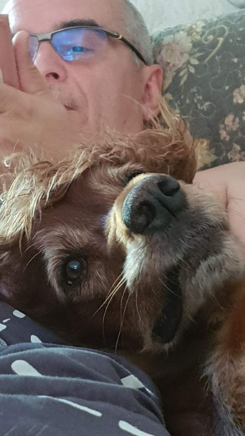 2018-08 - 1544 (Petit)