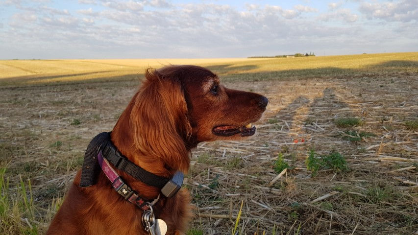 2018-08 - 0338 (Petit)