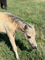 2023-07-03 18.01.38.jpg