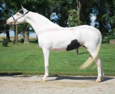 2024-07-02 20.31.45-1.jpg