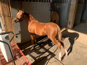 2021-07-27 08.05.45.jpg