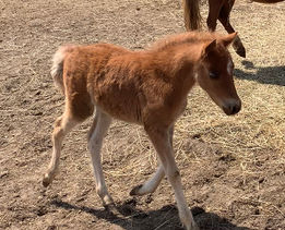 2021-05-29 23.43.09-1.jpg