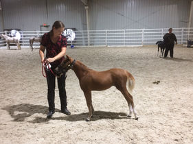 2021-07-29 16.57.21.jpg