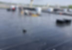 Réfection et remplacement de membrane élastomère pour toit plat commercial et résidentiel à Montréal et Laval
