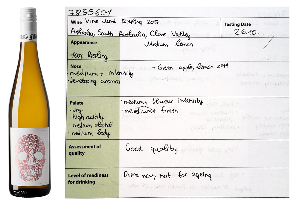 notes for WSET3