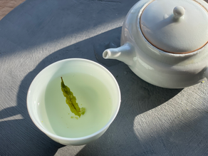 中国緑茶に夢中です！　2026緑茶が届きました
