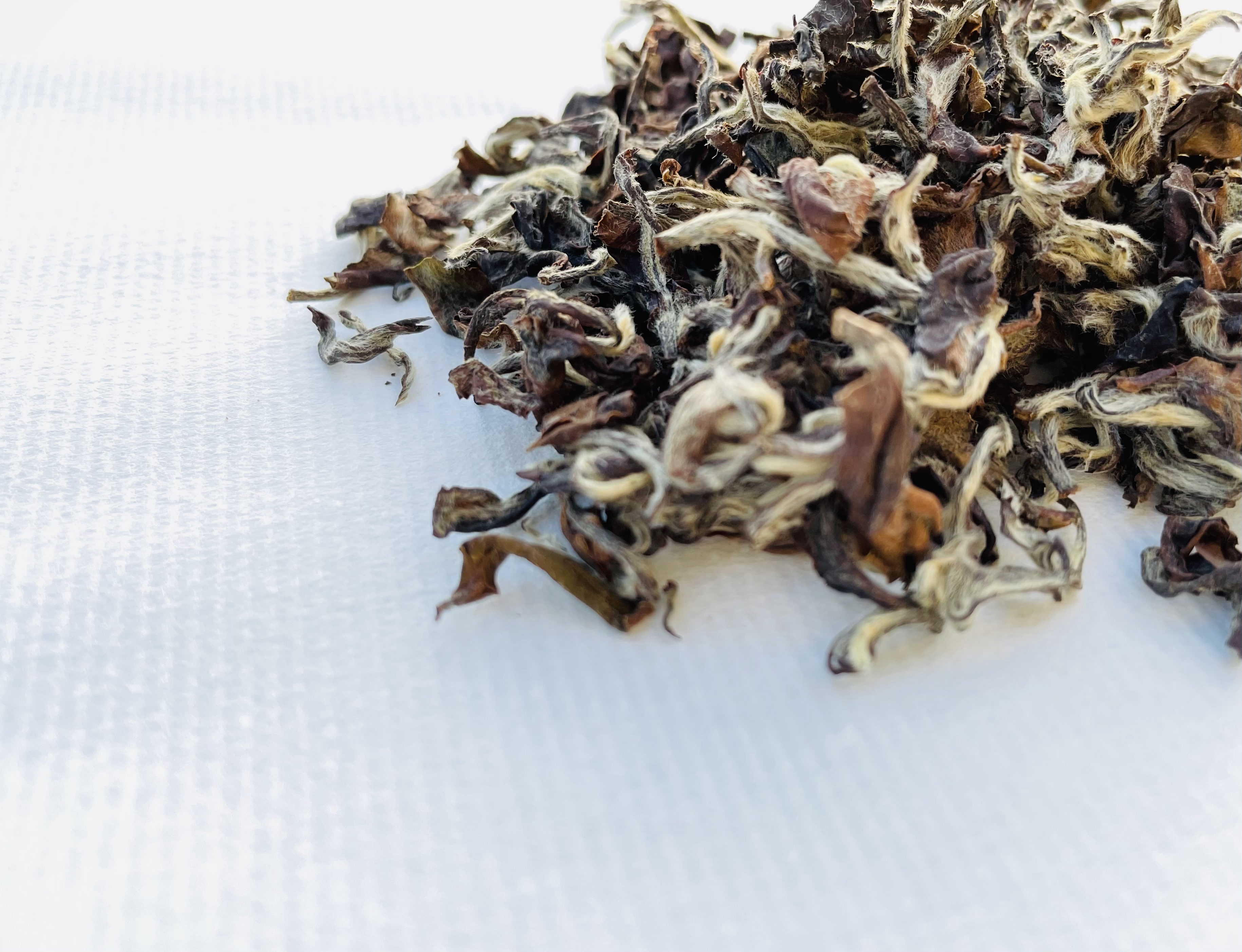 東方美人（金萱種） |ミルクティーを思わせる甘さが魅力